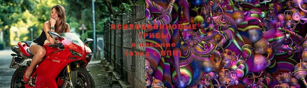 гидропоника Медногорск